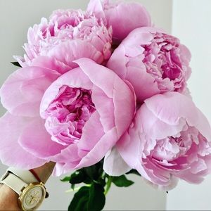 Meet your Posher, Alla